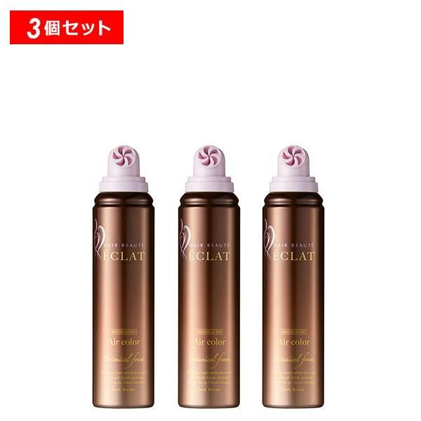 フューチャーラボ ヘアボーテ エクラ ボタニカル エアカラーフォーム 2