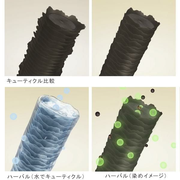 ハーバルシーズンズ [医薬部外品白髪染め] 正規品 ギフト可 | きれい