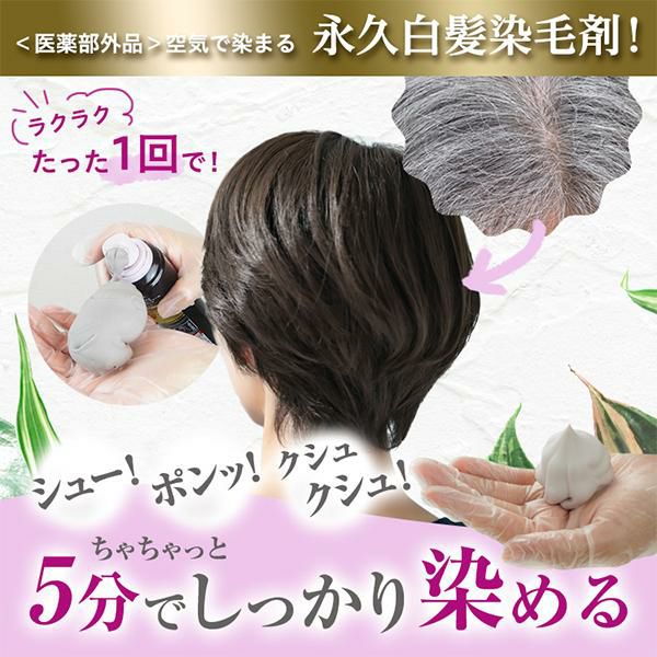 フューチャーラボ ヘアボーテ エクラ ボタニカル エアカラーフォーム 2