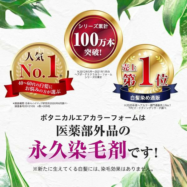 フューチャーラボ ヘアボーテ エクラ ボタニカル エアカラーフォーム 2