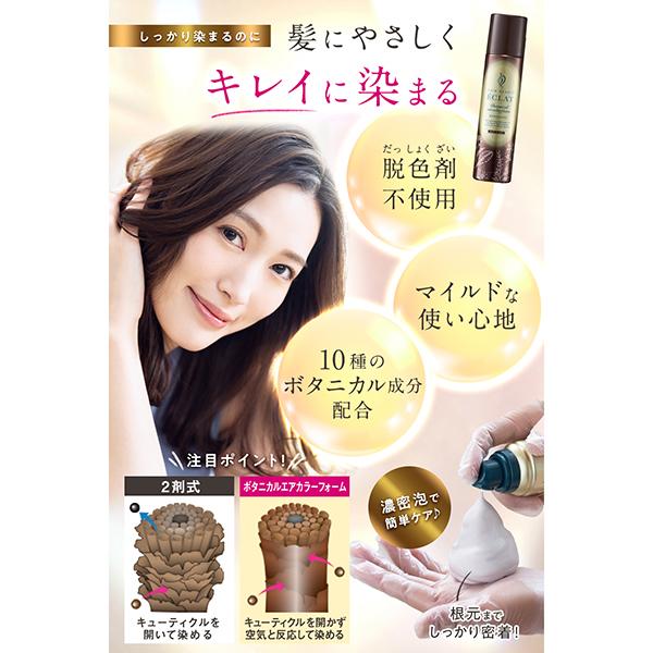 ヘアボーテ エクラ ボタニカルエアカラーフォームEX 白髪染め 手軽