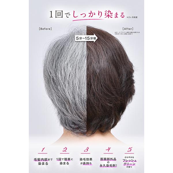 最大12%クーポン】ヘアボーテ エクラ ボタニカルエアカラーフォームEX